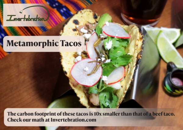 Metamorphic Taco Recipe Card